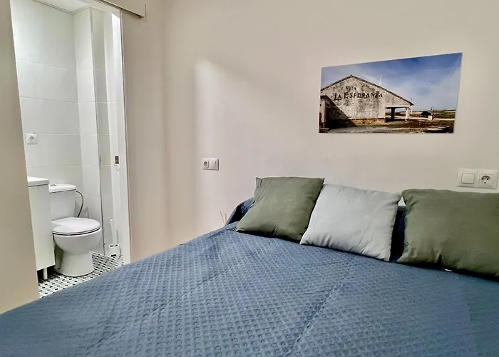 Apartamentos La Albariza Jerez Centro